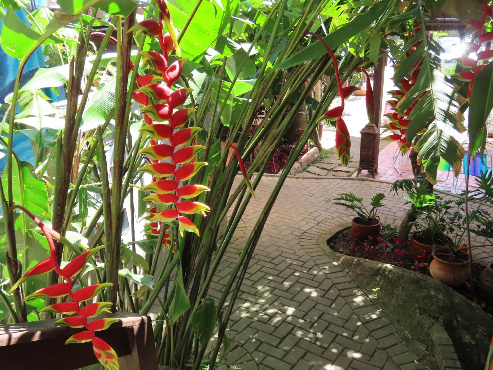 Patio Floriparadise Florianópolis Extérieur photo